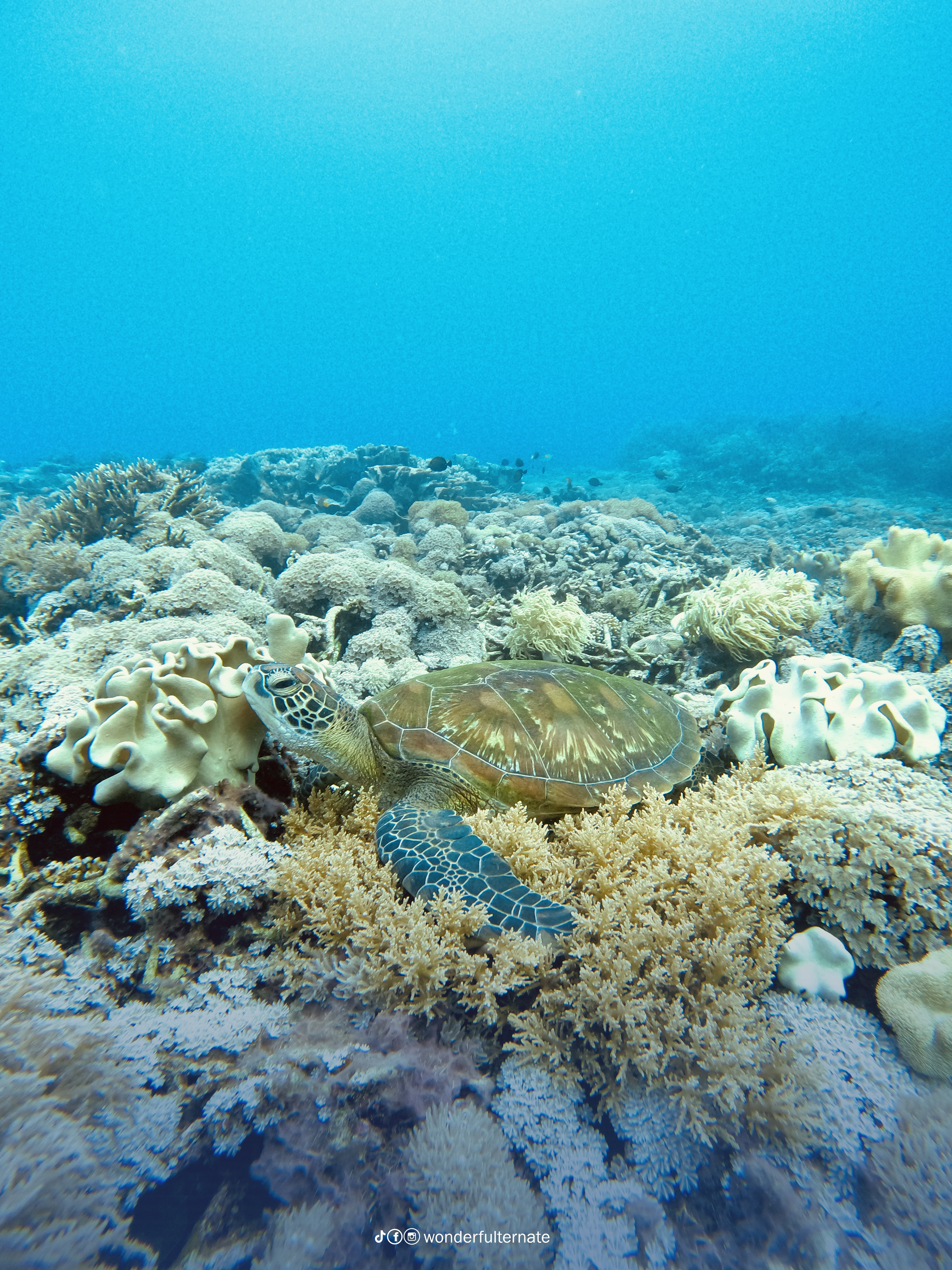 One Spot Not to Miss: Sulamadaha Beach, Also Known as Holl Sulamadaha